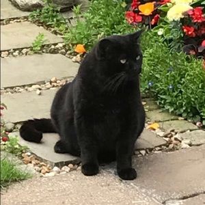 Meet your Posher, Abby